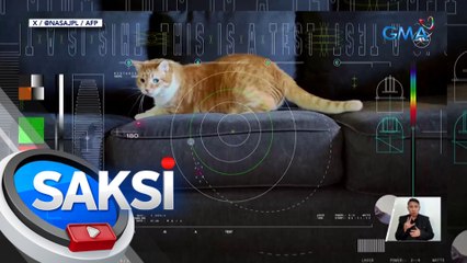 Video ng isang pusa, unang video na na-stream mula sa kalawakan | Saksi
