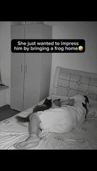 Funny animal videos on Instagram Tiktok #shorts #funnyanimals #مضحك