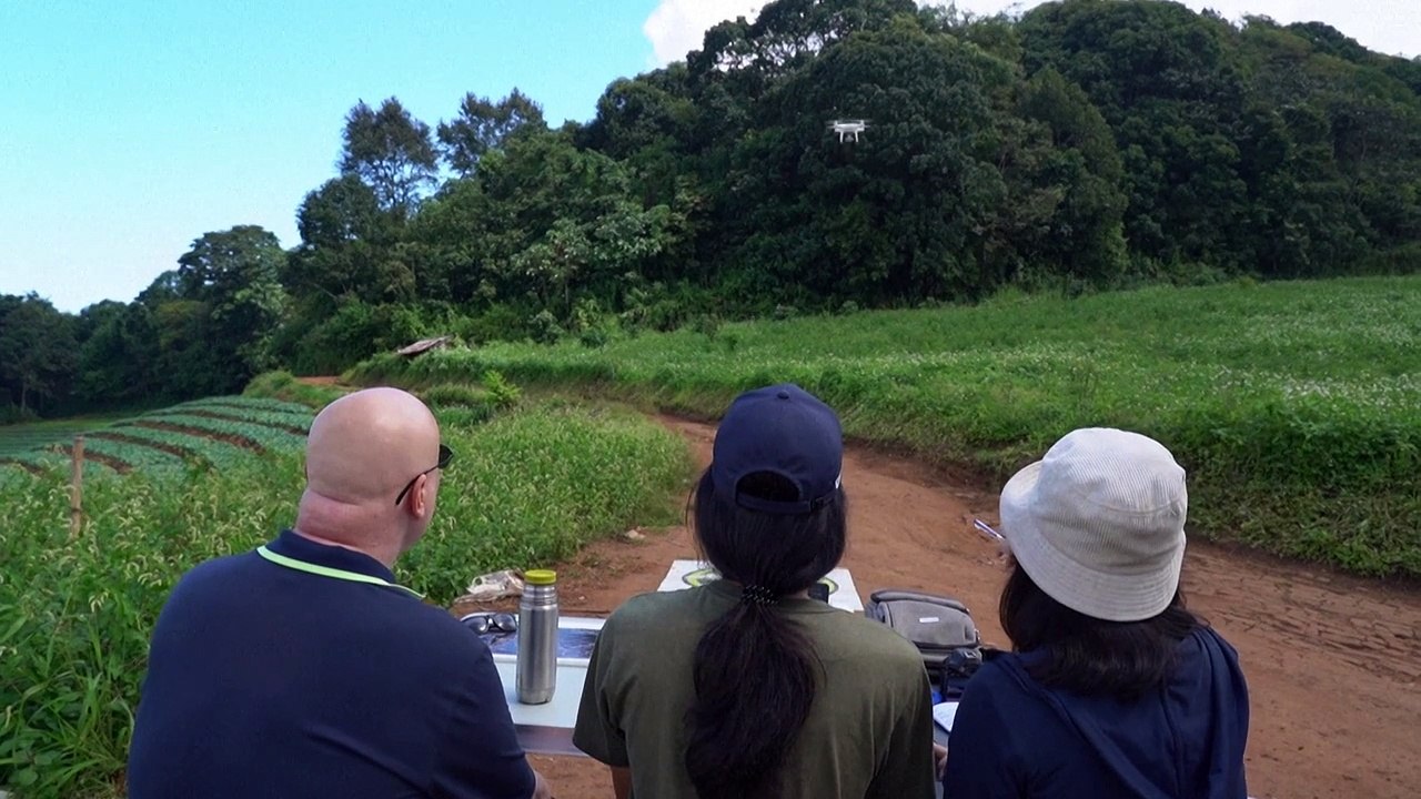 Drones help solve forest carbon capture riddle