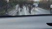 Herd of donkey hilariously stops to greet the woman sitting inside her car