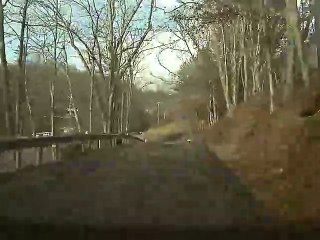 Tree Falls Right in Front of Car