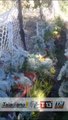 Agua convertida en cristal cubre plantas en San Isidro, San Marcos