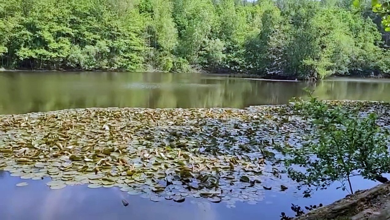 2023 POTA and  portable hamradio activities DH3KR