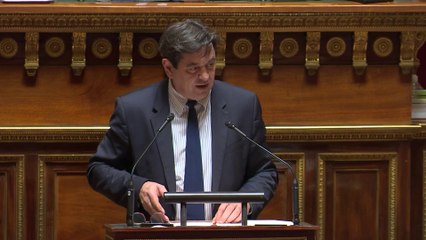 Loi immigration : « Le groupe RDSE s’interroge sur la méthode »