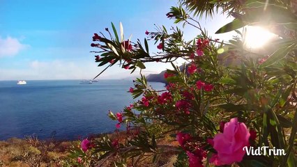 Ocean-Inspired Rock Song Playlist