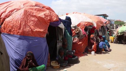 الحرب بين الجيش وحركة الشباب تفاقم الأزمة الإنسانية بالصومال.. وتشرد مليوني شخص داخليا