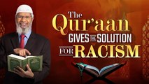 The Quran Gives the Solution for Racism - Dr Zakir Naik baddies caribbean