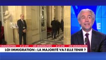 Philippe Fontana : «Lorsque les socialistes arrivent au pouvoir, ils suppriment un certain nombre de délits, un certain nombre de textes sur l'immigration, et ils régularisent à chaque fois»