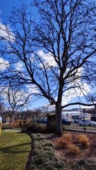 Trickeye House Optical Illusion