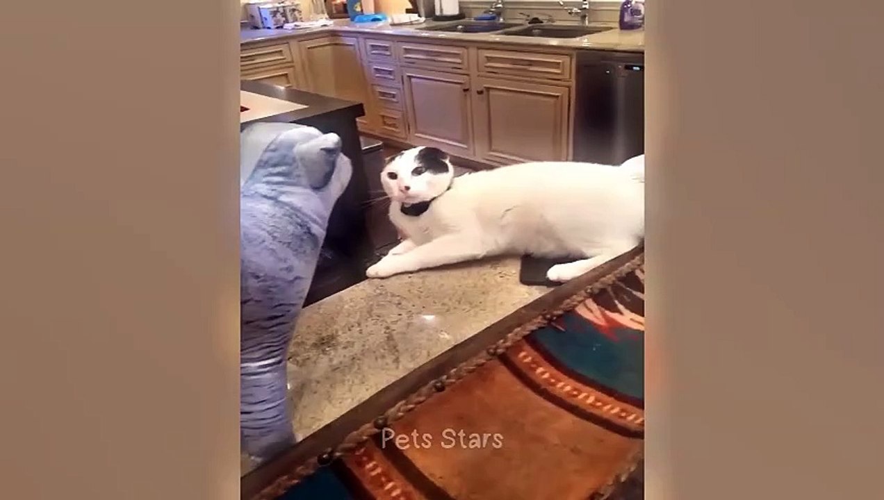 #ytshortsindia morsomt haha ​​​​#cutebaby#comdy #comedys #babs#comedyshorts#cuteanimalsytshortsindia#ytshortsindia 有趣哈哈#cutebaby #comdycomedys #ba#comedyshorts #cuteanimals#ytshortsindia#ytshortsindia#مضكههههه#cutdy #comedys #babs#comedyshorts#cuteanimals
