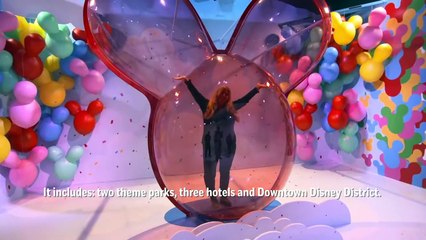 Should You Go to Disneyland or Walt Disney World?