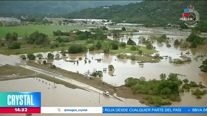 Aparecen cocodrilos tras inundaciones en Australia