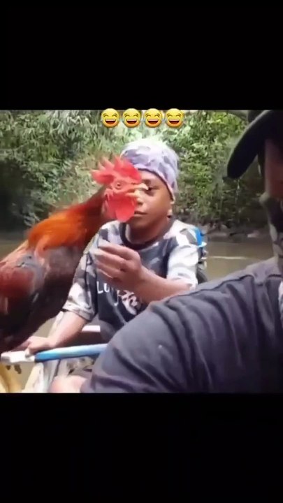 Cockoooo