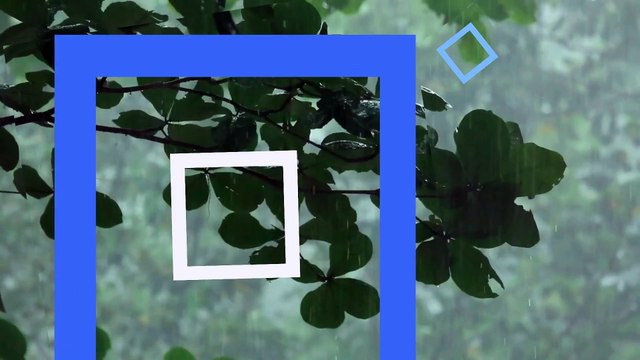 قاتل من أجل أحلامك ولو كنت وحدك الاجتهاد نحو الحلم