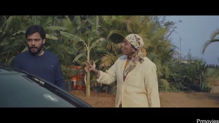 Orange Lilly 2023 🌸