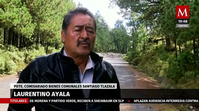 Comuneros denuncian tala clandestina en 'Bosque de Agua', Edomex | Milenio Hábitat