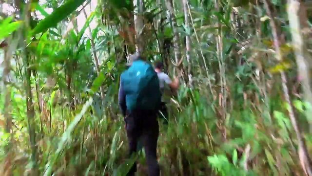 SEB EN PAPOUASIE (documentaire)