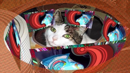 Shopping l putting food away l 360 l 5 faces 2 3D l Cyberlink.compressed