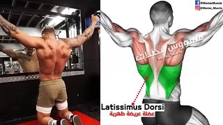 8 Best Exercise To  Lower Lats workout (V-TAPER)