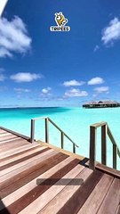 Maldives Holiday Package.