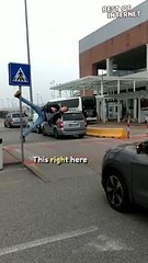Dimitry's Gravity-Defying Pole Mastery ‍♂️‍♂️ || Best of Internet