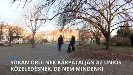 Kárpátalján Ünnepelnek vagy Aggódnak az EU-csatlakozás Kapcsán? 🇪🇺