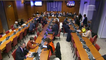 Commission des finances : Projet de loi de finances pour 2024 (Examen en lecture définitive) - Mardi 19 décembre 2023