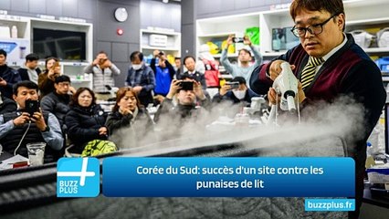 Corée du Sud: succès d'un site contre les punaises de lit