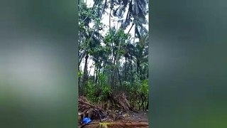 Cyclone Tauktae _ South India _ May 2021 _ Landfall In West Coast _ Neeraj Bhandari