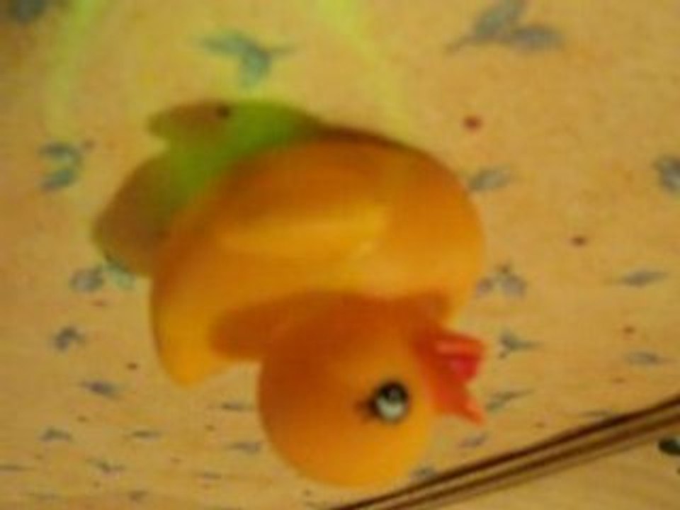 Spider Canneton, Prend garde !