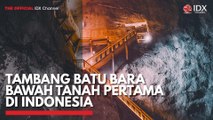 Tambang Batu Bara Bawah Tanah Pertama di Indonesia