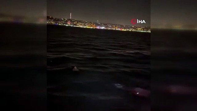 İstanbul Boğazı’nda bir genç “Asker olamayacağım” diyerek denize atladı