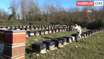 Ordu'da Arıcılar Kışlık Bakım Çalışmalarını Sürdürüyor