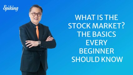 What is the Stock Market? The Basics Every Beginner Should Know