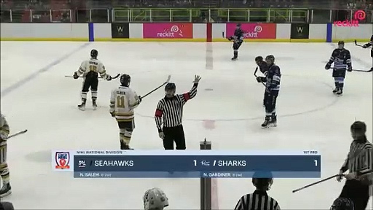 Hull Seahawks v Solway Sharks - NIHL National match highlights
