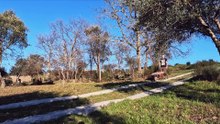 WE BOUGHT AN ABANDONED FARM With Stone Houses to Renovate in Portugal - TIMELAPSE 1 Year in 25 Mins