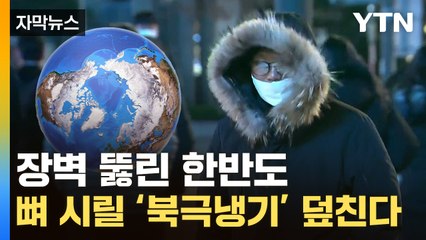 [자막뉴스] 진짜 추위 이제부터...'북극 냉기' 한반도 그대로 강타 / YTN