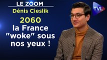 Zoom - Dénis Cieslik : 2060 : dans l’enfer d’une France inclusive, antiraciste, woke au pouvoir !