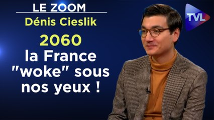 Zoom - Dénis Cieslik : 2060 : dans l’enfer d’une France inclusive, antiraciste, woke au pouvoir !