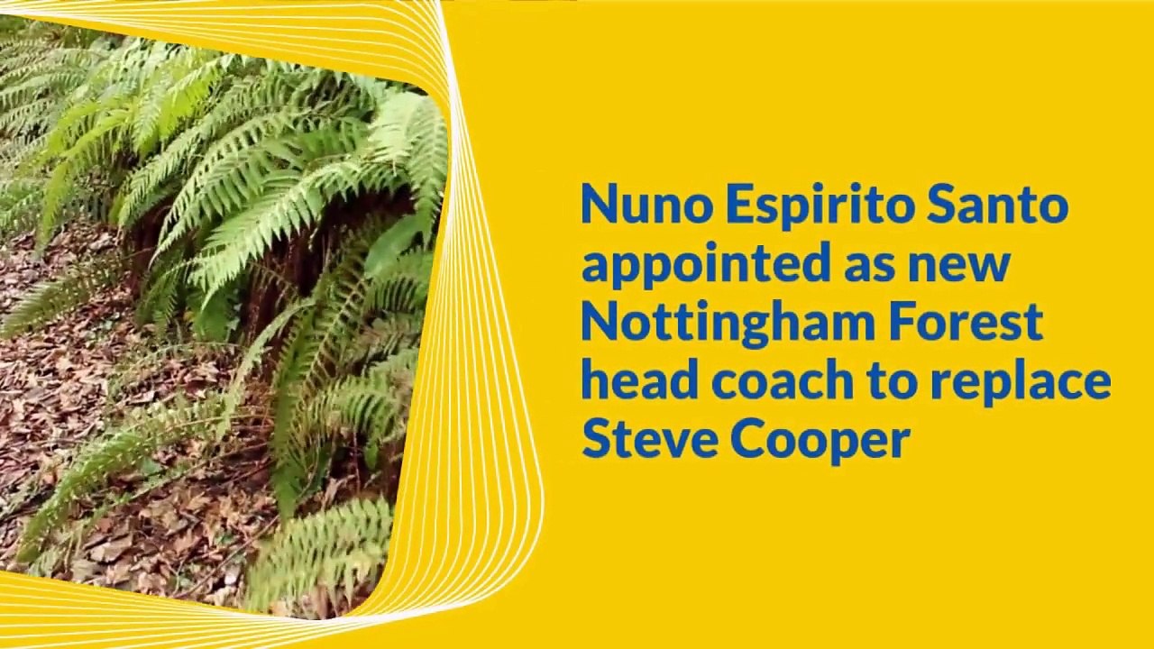 Nottingham Forest have appointed former Wolves and Tottenham boss Nuno Espirito Santo as their new head coach on a two-and-a-half-year contract.  The Portuguese coach replaces Steve Cooper, who wa