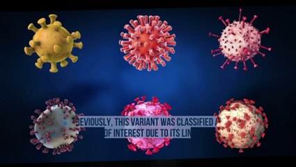 WHO Says Risk 'Low' From COVID Strain Deemed 'Variant of Interest'