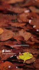 #short#Daily Dose of Drive# Motivation  #unlock #unleashing