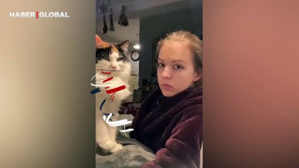 Sahibinin onu öpmesini isteyen kedi yaptığı hareketlerle güldürdü