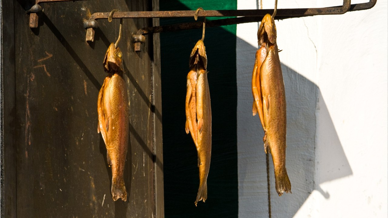 Was ist eigentlich eine lachsforelle?