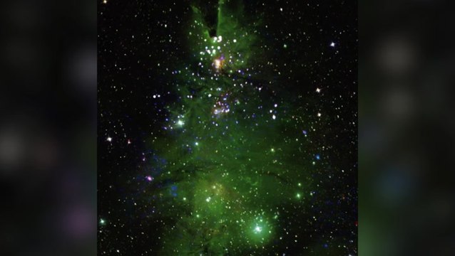 Nasa telescope captures green Christmas tree-shaped cluster of stars lighting up