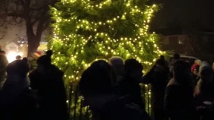 Anita Dobson Sparks Joy at Elstead's Christmas Light Switch-On 🎄