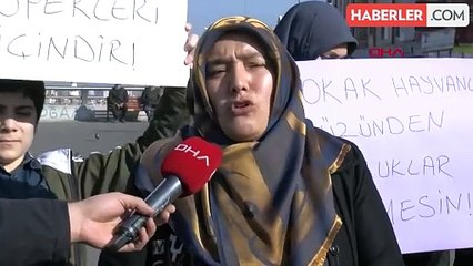 Ankara'da sokak köpekleri toplanması için eylem yapıldı