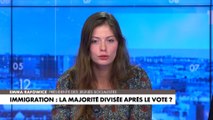 Emma Rafowicz : «Le macronisme est une droite comme une autre»