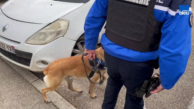 Contrôle Rodilhan (Gard)