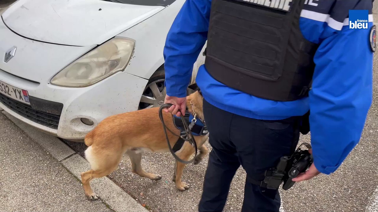 Contrôle Rodilhan (Gard)